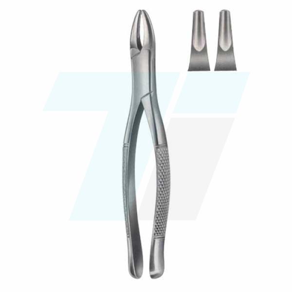 Ext Forceps (American pattern)