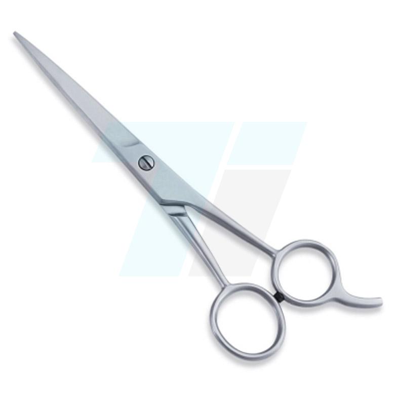  Economy Hair Scissors