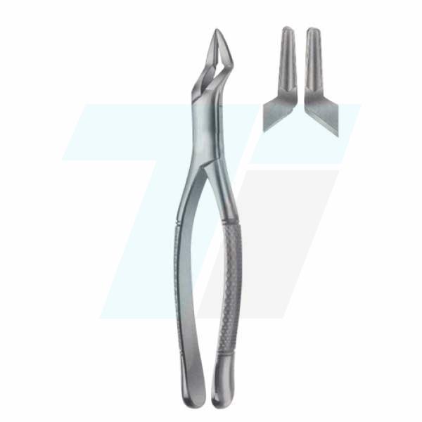 Ext Forceps (American pattern)