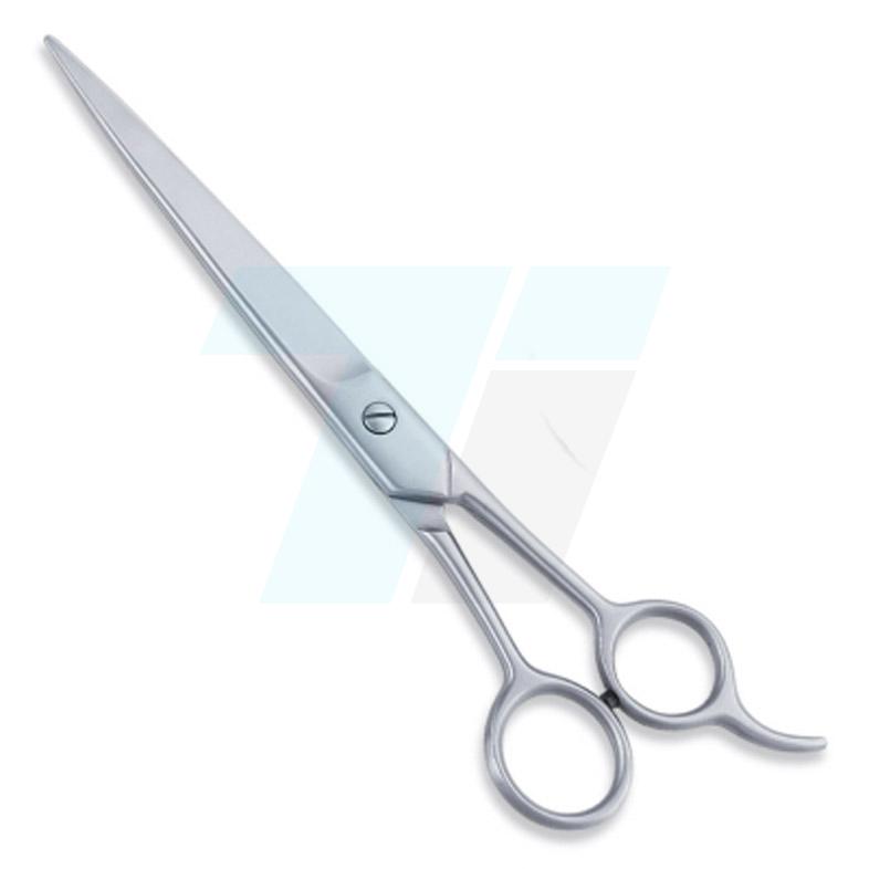  Economy Hair Scissors