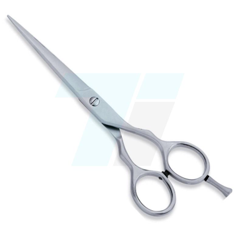  Economy Hair Scissors